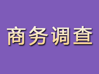 大悟商务调查